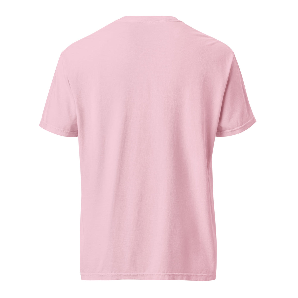 Be the Light | Embroidered Unisex garment-dyed T-Shirt in Blossom, back view