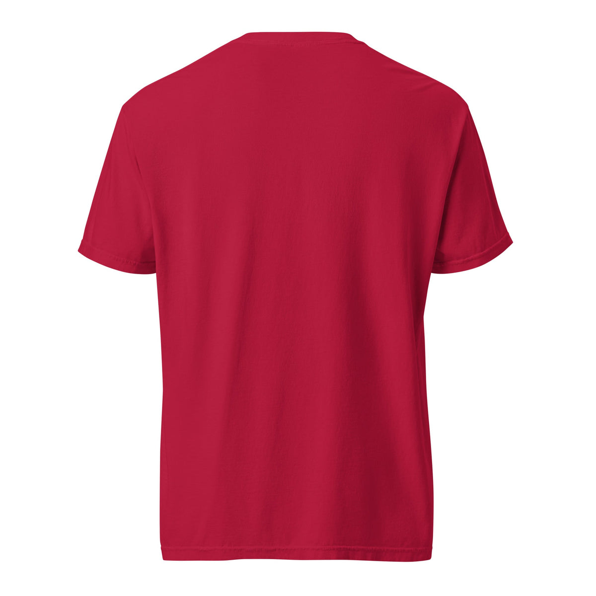 Be the Light | Embroidered Unisex garment-dyed T-Shirt in Red, back view
