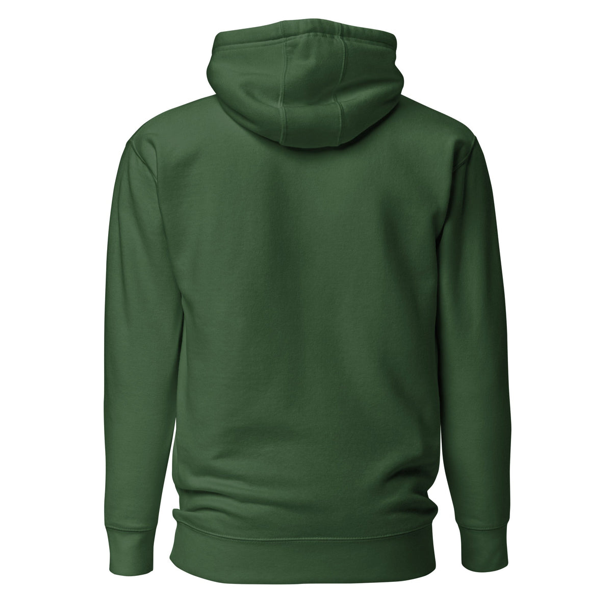 Be the Light | Embroidered - Unisex Premium Pullover Hoodie in Forest Green, back view
