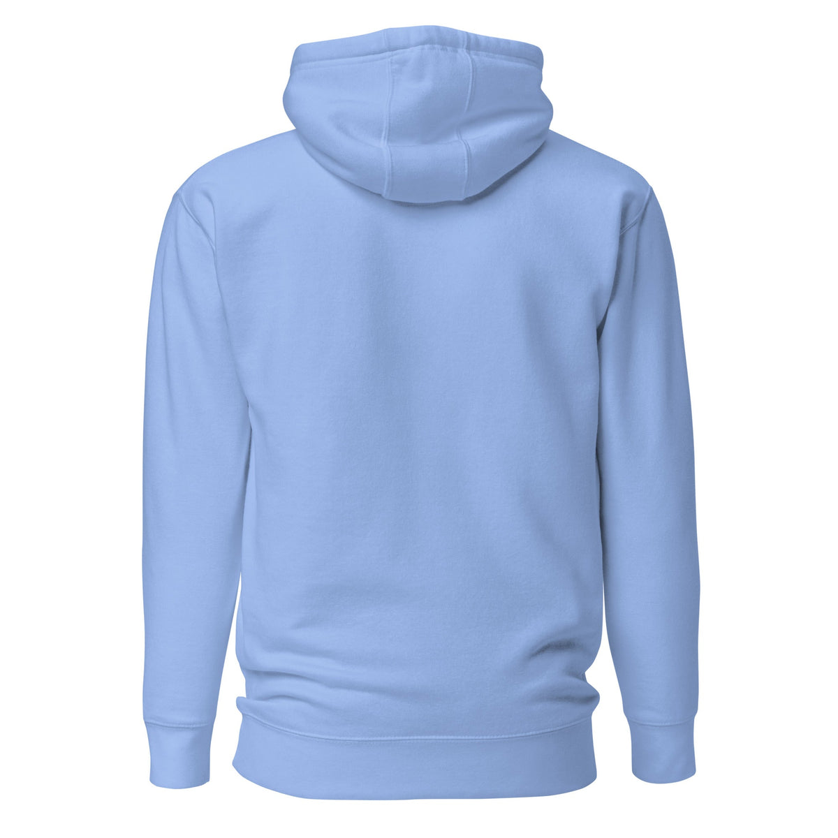 Be the Light | Embroidered - Unisex Premium Pullover Hoodie in Carolina Blue, back view