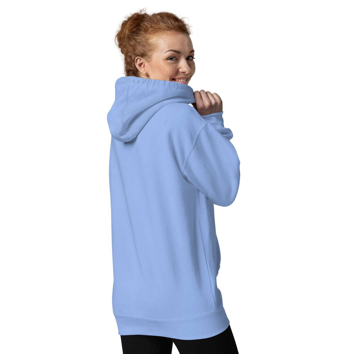 Be the Light | Embroidered - Unisex Premium Pullover Hoodie in Carolina Blue, back view