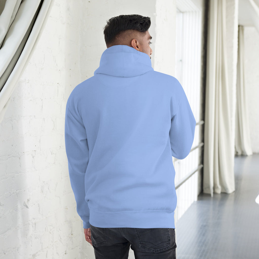 Be the Light | Embroidered - Unisex Premium Pullover Hoodie in Carolina Blue, back view