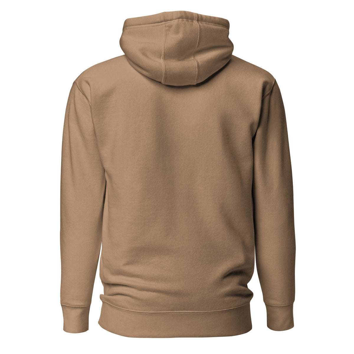 Be the Light | Embroidered - Unisex Premium Pullover Hoodie in Latte, back view