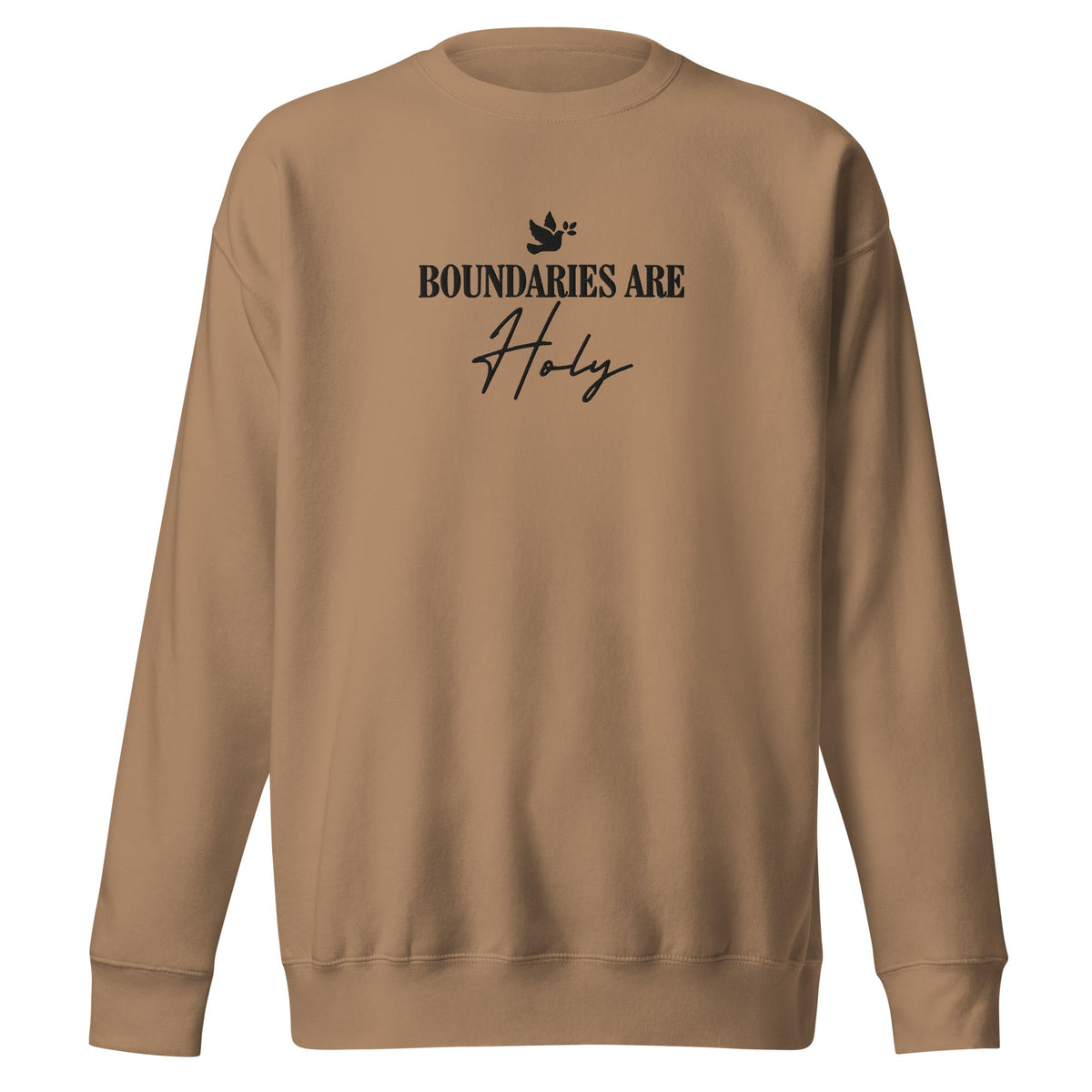 Boundaries Are Holy embroidered premium sweatshirt in Latte, product view